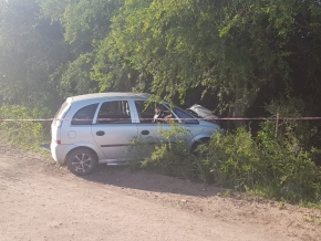 0_accidente-arbol-meriva.jpg