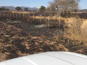 0_incendio-ruta-16.jpg