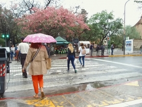 3_alertaamarillacba.jpg