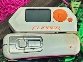 576_flipperhackeo.jpg