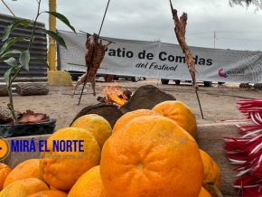 615_fiesta-de-la-mandarina.jpg