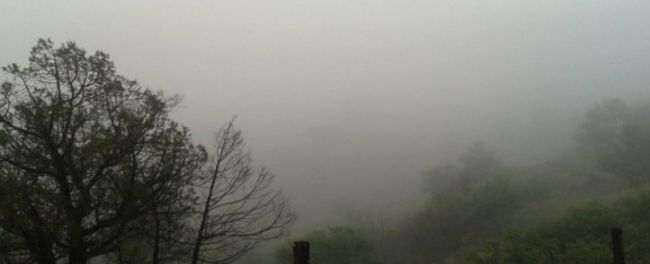 0_lluvia-neblina-mal-tiempo.jpg