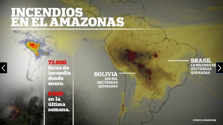 0_amazona.jpg