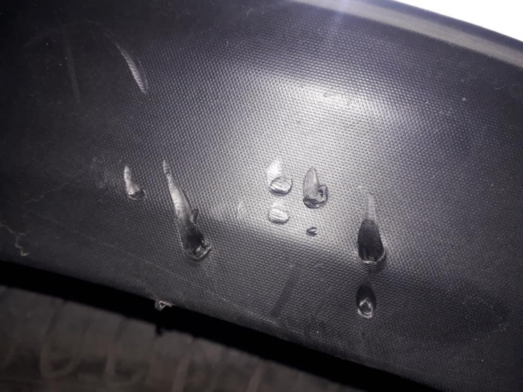 0_auto-perro-callejero.jpg
