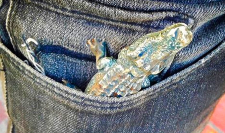 0_cocodrilo-en-el-bolsillo.jpg