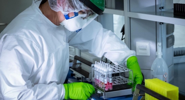 0_coronavirus-153.jpg