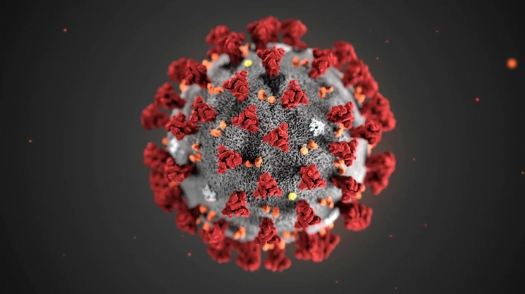 0_coronavirus-5.jpg