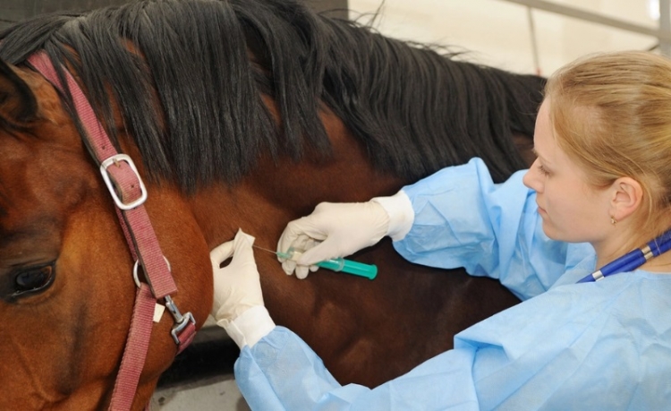 0_coronavirus-suero-argentino-1.jpg