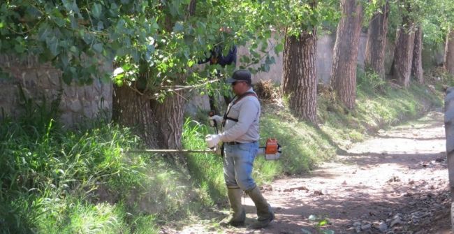 0_empleados-de-la-muncipalidad-trabajando-1.jpg