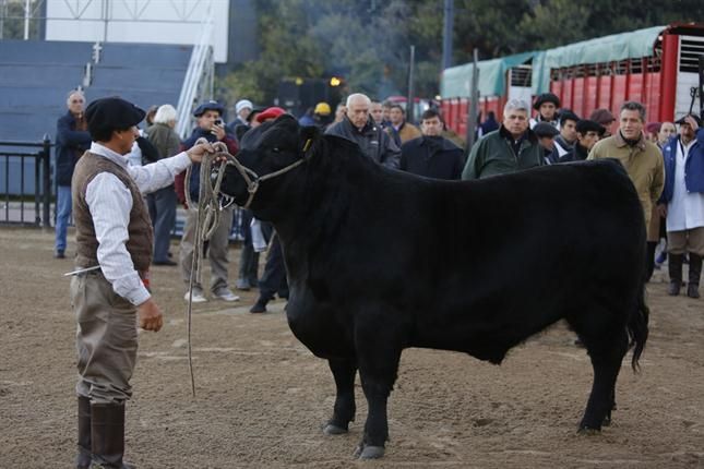 0_expo-rural.jpg