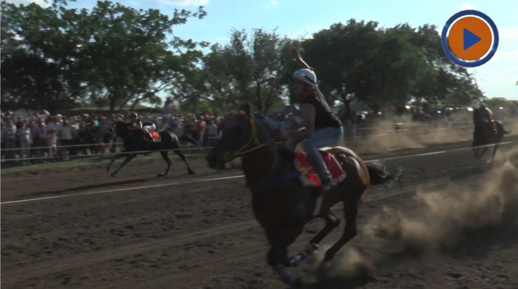 0_hipodromo-dean-funes-2019-caballo.jpg