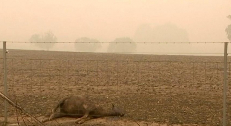 0_incendio-australia-2.jpg