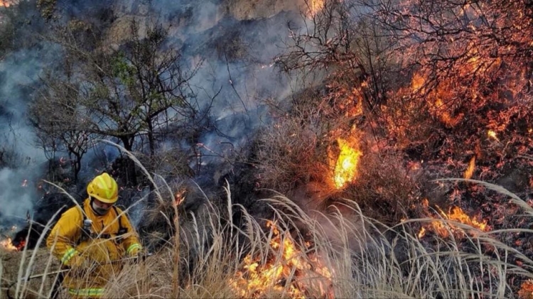 0_incendio-villa-albertina-guzman.jpg