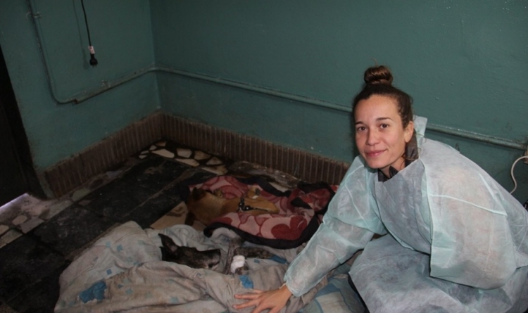 0_josefina-dominchin-castracion.jpg