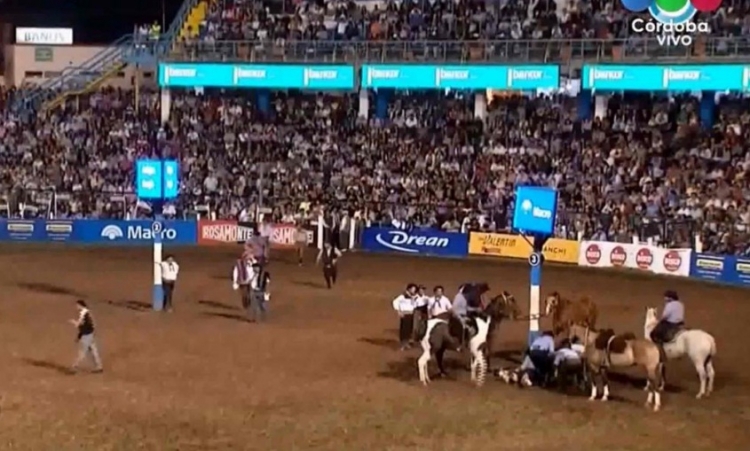 0_muere-caballo-jm-2019.jpg