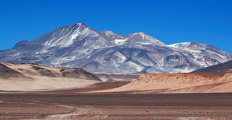 0_muerte-en-un-campo-ch.jpg