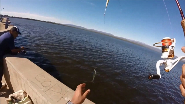 0_pesca-cruz-del-eje.jpg