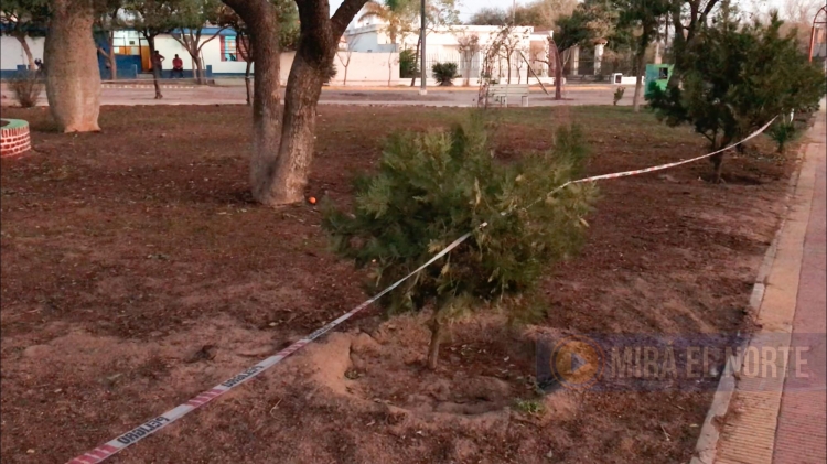 0_quilino-cesped-plaza.jpg
