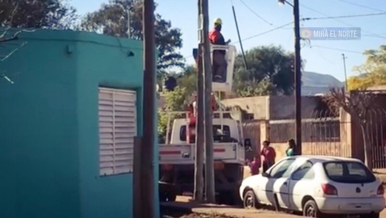 0_rescate-gato.jpg