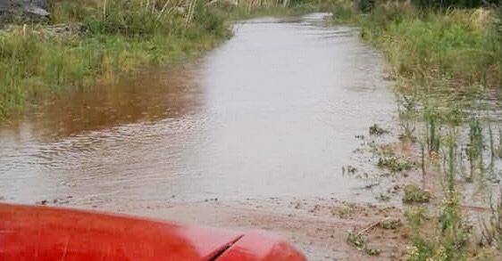 0_temporal-tulumba.jpg