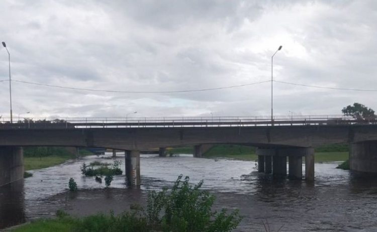 1003_temporal-en-rosario.jpg