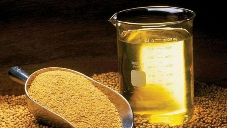 104_el-gobierno-nacional-reabri-las-exportaciones-de-aceite-y-harina-de-soja-ch.jpg
