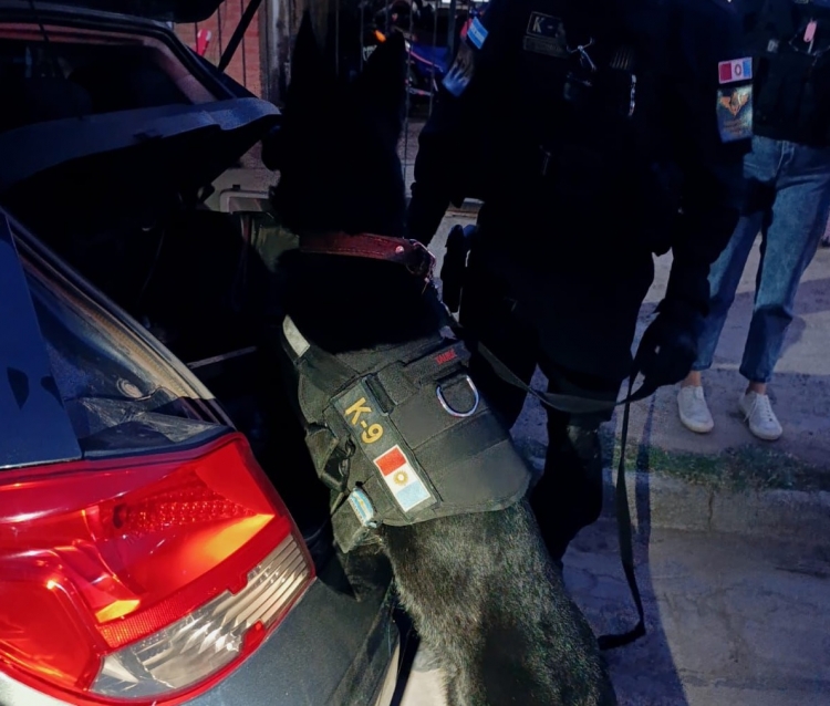 1168_perro-fpa.jpg