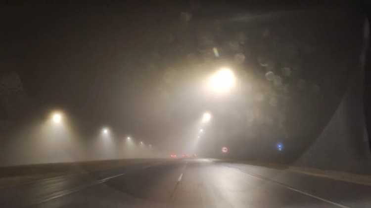 1197_1b217121-2955-470c-8745-84509e792f7e.jpg