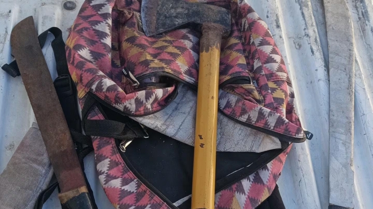 1206_machete.jpg