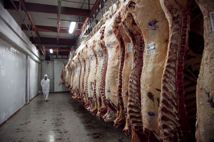 142_el-gobierno-controlar-exportaciones-de-frigor-ficos-ch.jpg