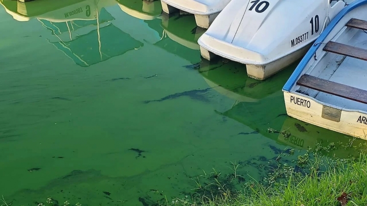 158_impactante-el-color-verde-del-lago-san-roque-en-pleno-centro-de-villa-carlos-paz-ch.jpg