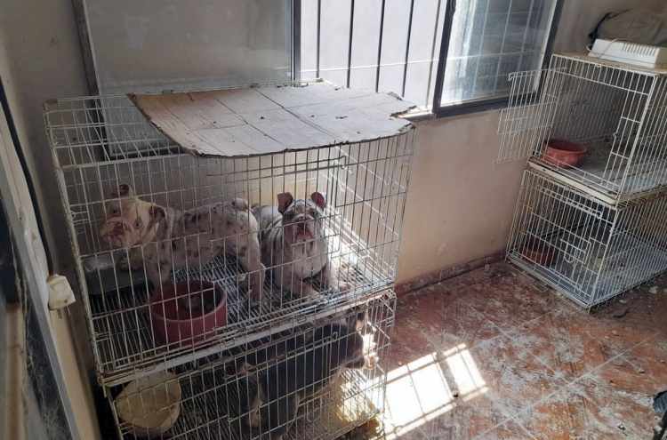 349_ten-an-56-perros-desnutridos-sucios-y-hacinados-en-pajareras.jpg