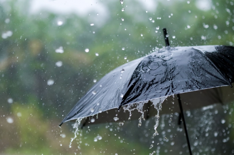 372_lluvia.jpg