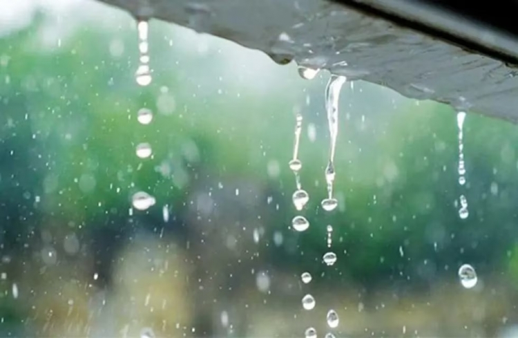 372_lluvia2.jpg