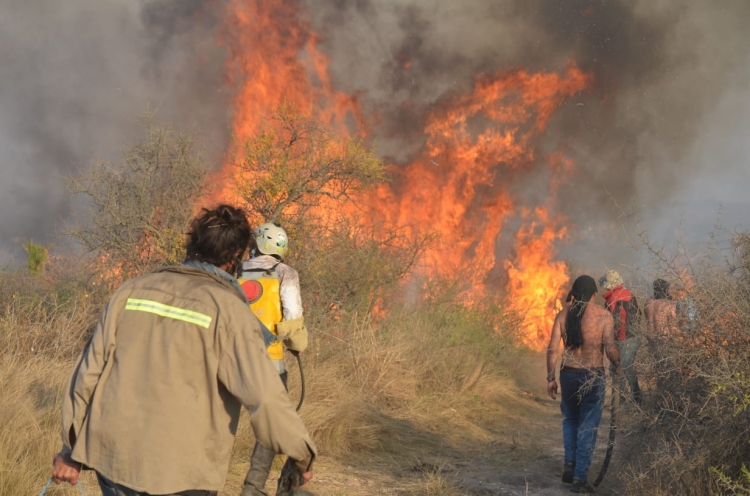 421_incendio15hectareas.jpg