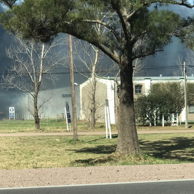 47_incendio-galpones-sinsacate.jpg