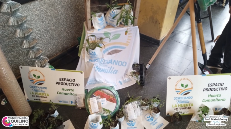 522_espacioproductivo1.jpg