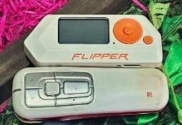 576_flipperhackeo.jpg