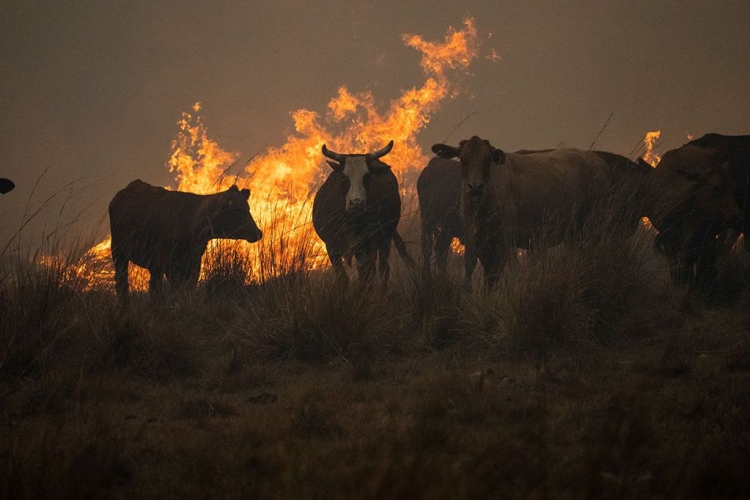 80_declaran-emergencia-y-desastre-agropecuario-en-toda-la-provincia-ch.jpg