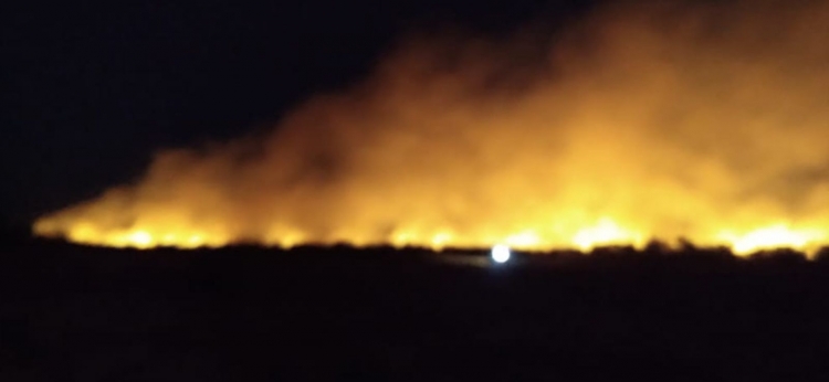 80_incendio-en-jaime-peter.jpg