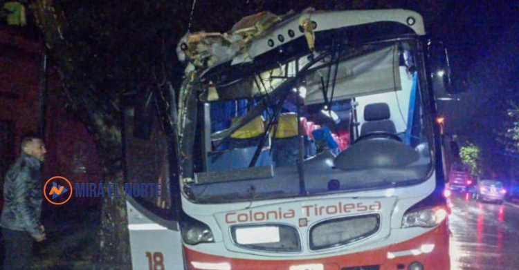899_colectivo-tirolesa.jpg