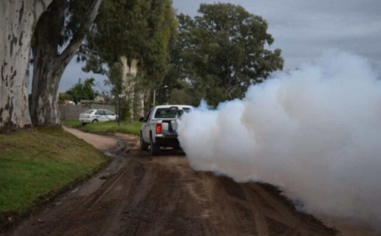 907_fumigacion1.jpg