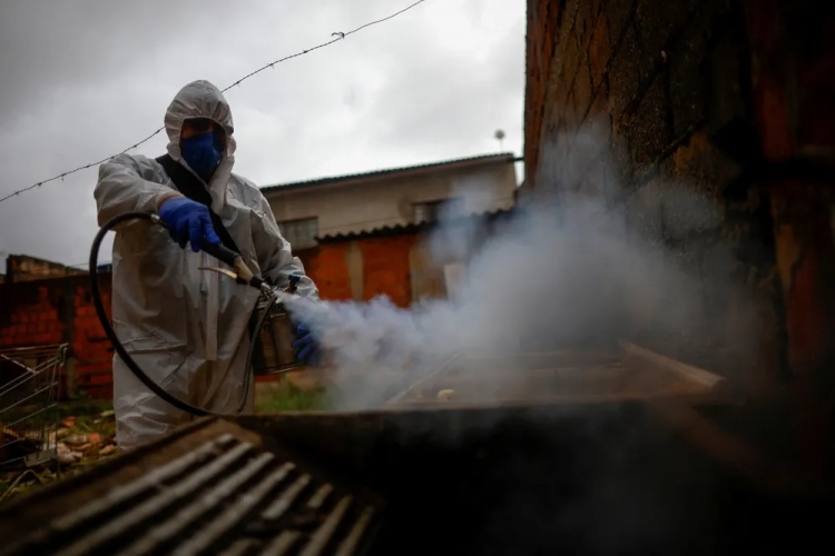 997_dengue1.jpg