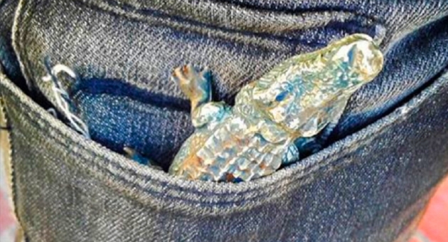 0_cocodrilo-en-el-bolsillo.jpg