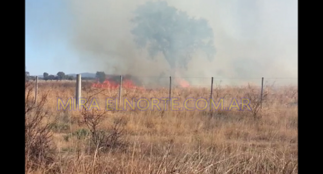 0_incendio-en-df-1.png