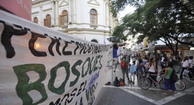 0_ley-de-bosque-se-suspende.jpg