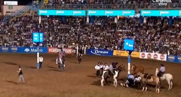 0_muere-caballo-jm-2019.jpg