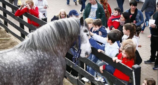 0_sociedad-rural-caballos.jpg