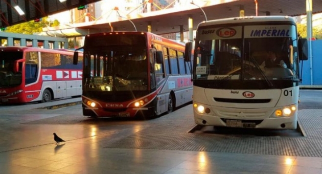 0_transporte-4.jpg