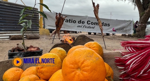 1133_fq.jpg